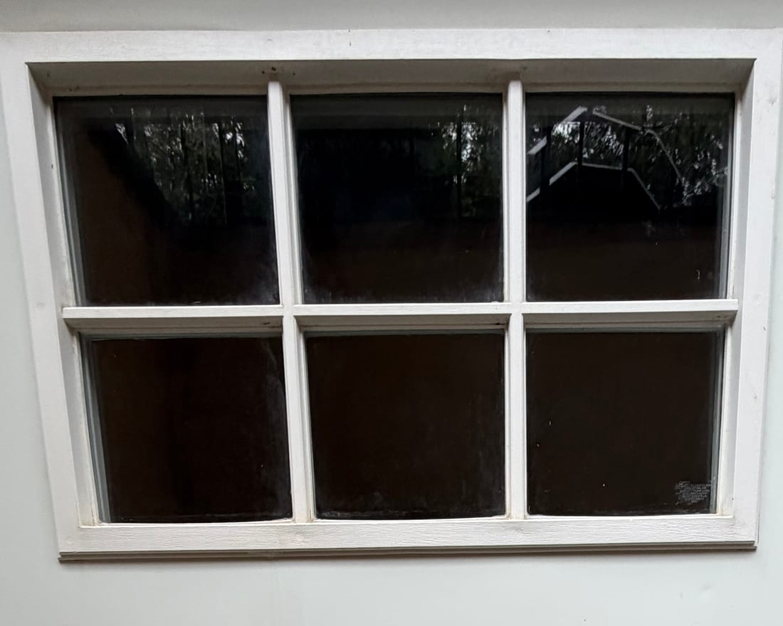 The same door window after a MaxClear pure-water clean — the glass is clear enough to see the trees reflected behind it.